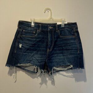 American Eagle US 10 Tomgirl Denim Shorts